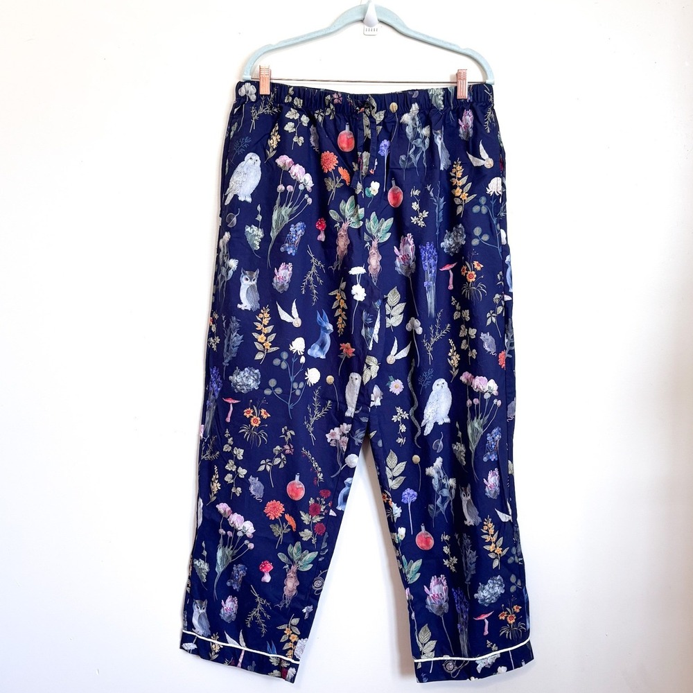 Pottery Barn Harry Potter Womens Herbology Pajama Pants Large Blue Owl Magic